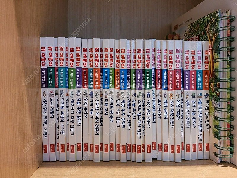 공룡대발이 미래직업 동화 전집 30권 세트(새책수준)--0