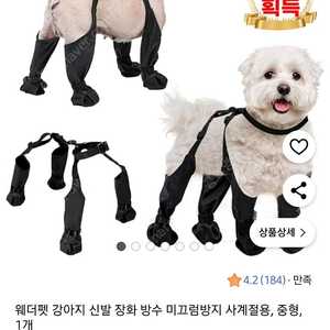 웨더펫 강아지 산책 신발 장화 방수신발 / M사이즈