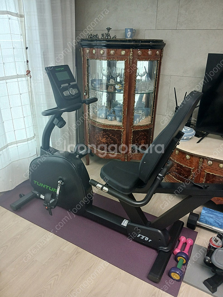 툰투리 좌식싸이클 F20R 새거--0