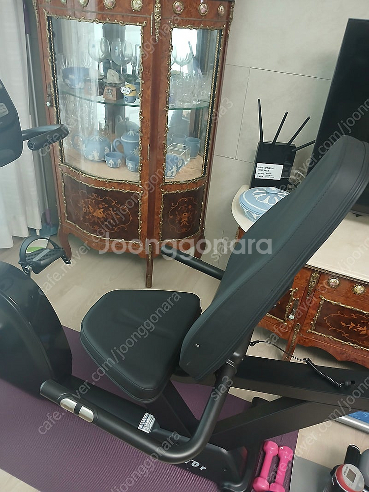 툰투리 좌식싸이클 F20R 새거--1
