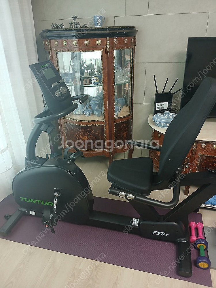 툰투리 좌식싸이클 F20R 새거--3