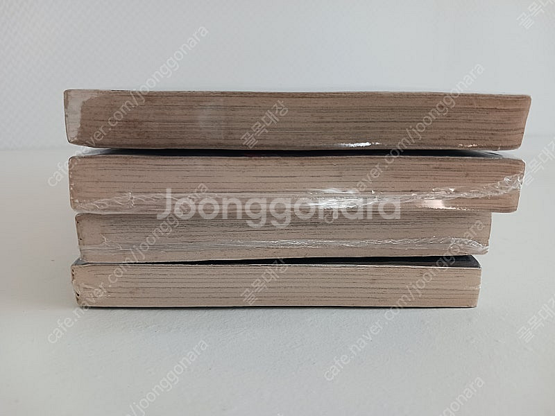 (전영소녀 비디오걸 작가 작품) 해적판 만화책 DNA2...--5
