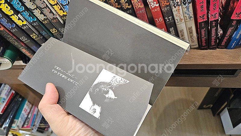 소장용만화책 지뢰진 전 시리즈 (지뢰진,디아블로,블루헤...--9