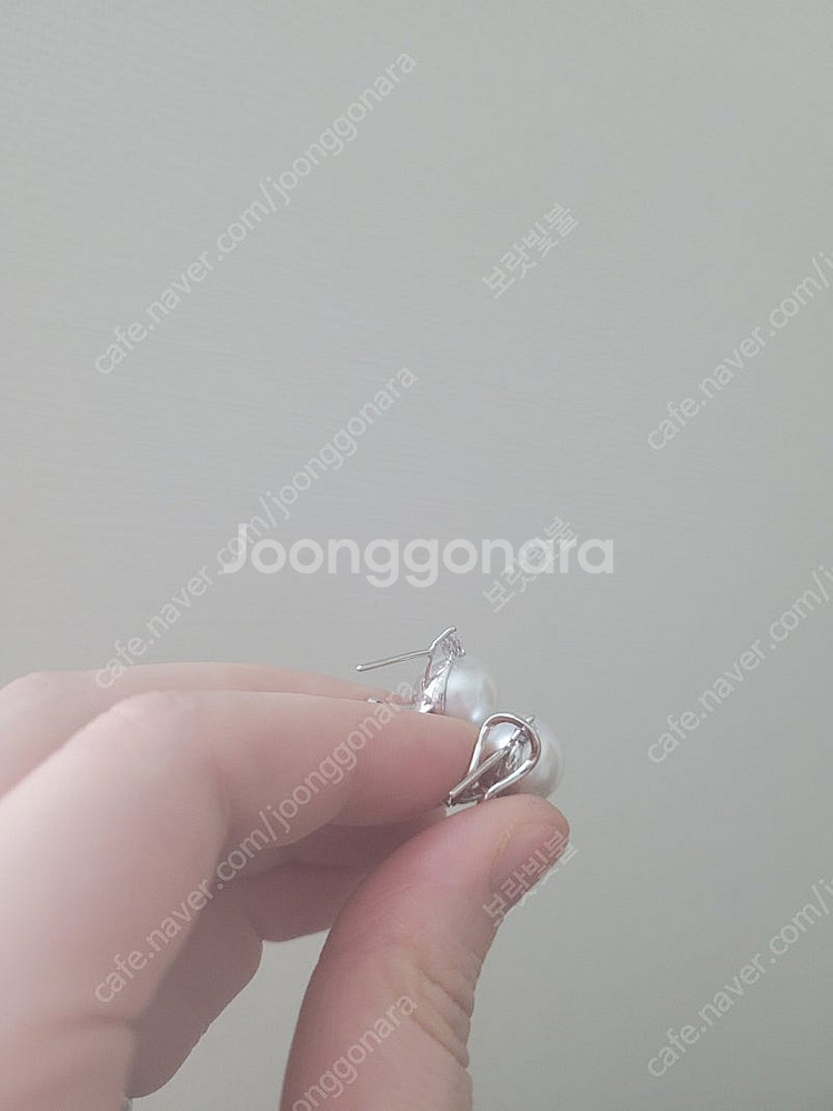 남양진주 풀셋트--1