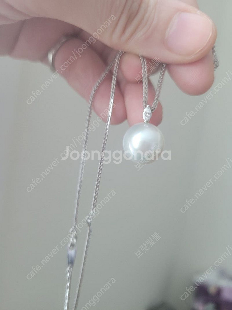 남양진주 풀셋트--3
