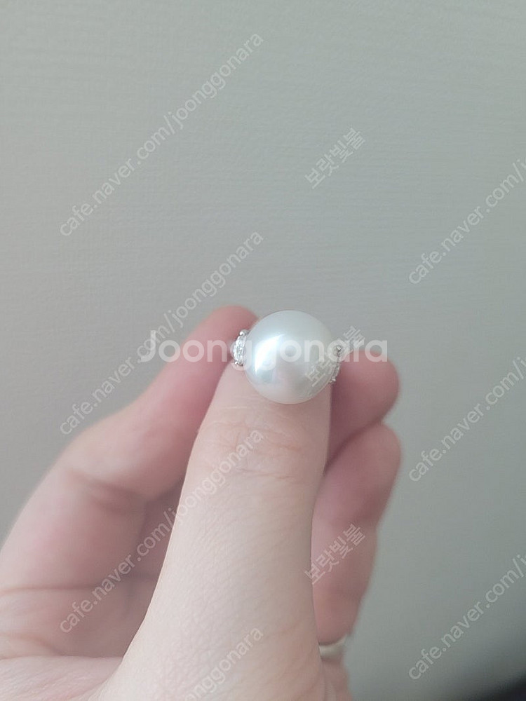 남양진주 풀셋트--4
