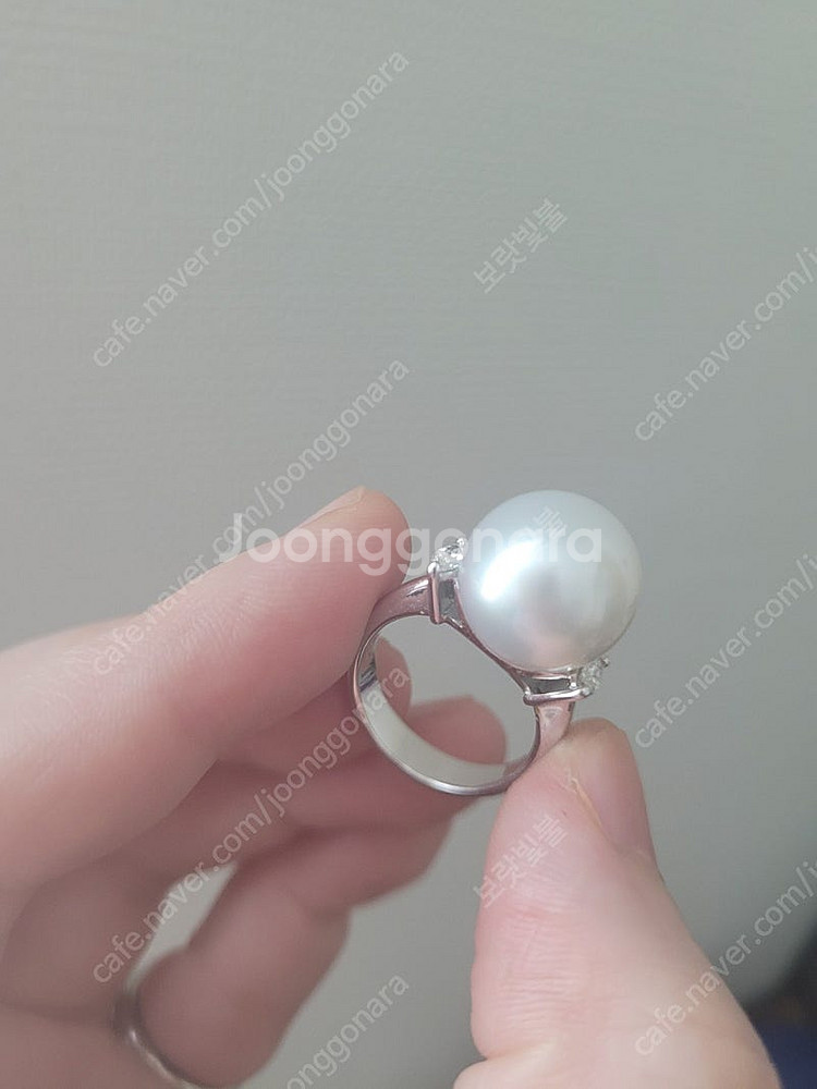 남양진주 풀셋트--6
