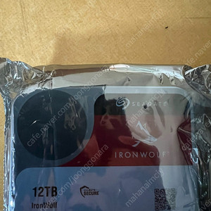 씨게이트 IronWolf 12TB