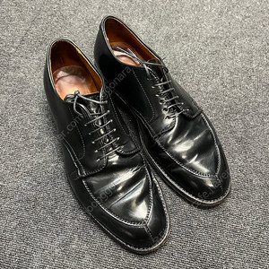 [US8D] Alden A0606 코도반 V팁