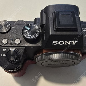 SONY 미러리스카메라 a73 외 렌즈 3종 팝니다