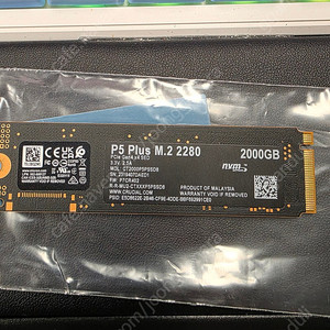 크루셜 P5 plus 2tb팝니다.