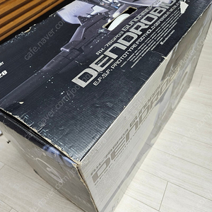 덴드로비움
