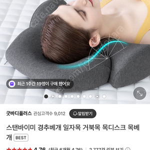 스탠바이미 경추배게 일자목 거북목 목디스크 배게