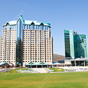 강원도 하이원 숙박 강원랜드 메인타워호텔 호캉스 7월 6일 15만원
