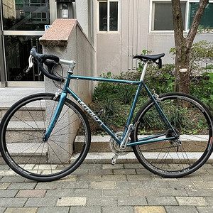 리치 로직 로드 판매 합니다. (55size)