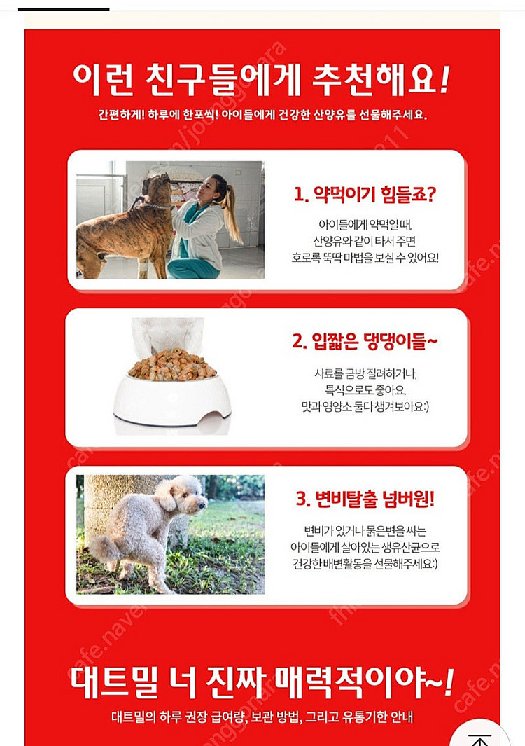 강아지 산양유 대트밀 20개--1