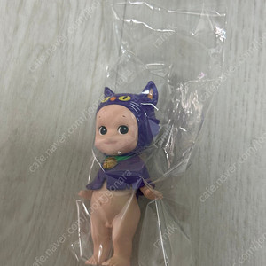 소니엔젤 2014 고양이