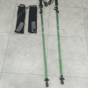 등산스틱