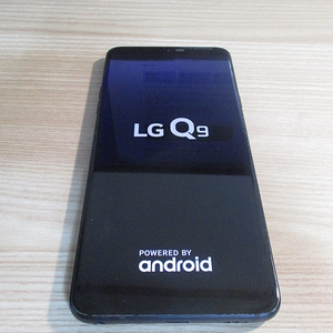 LG Q9