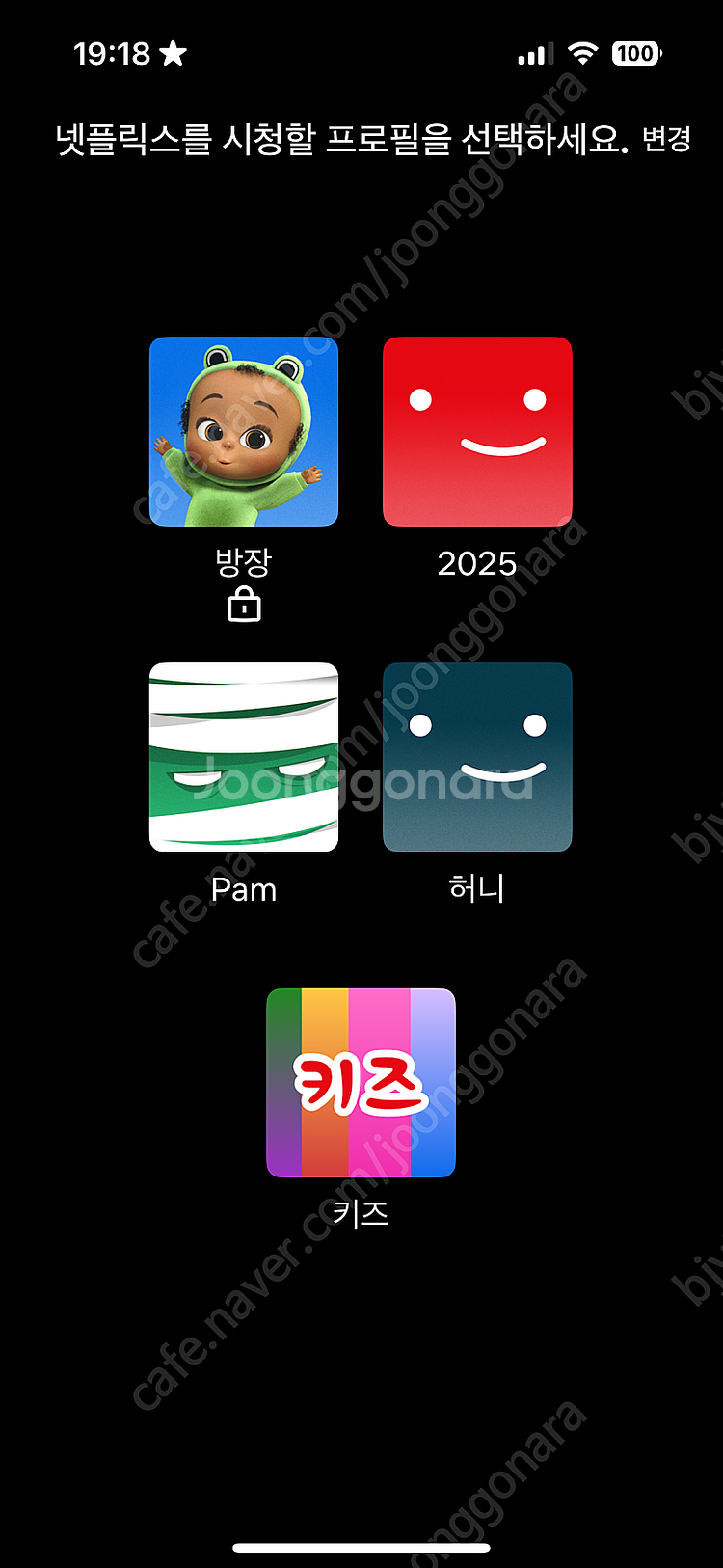 넷플릭스 3개웡 12000원 pc 휴대폰 pad 가능--0