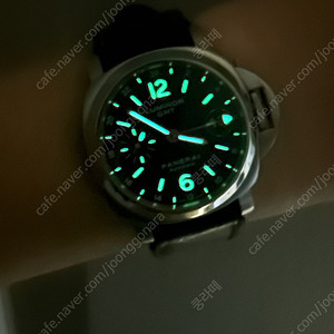 파네라이 gmt pam00244 단품(40mm)