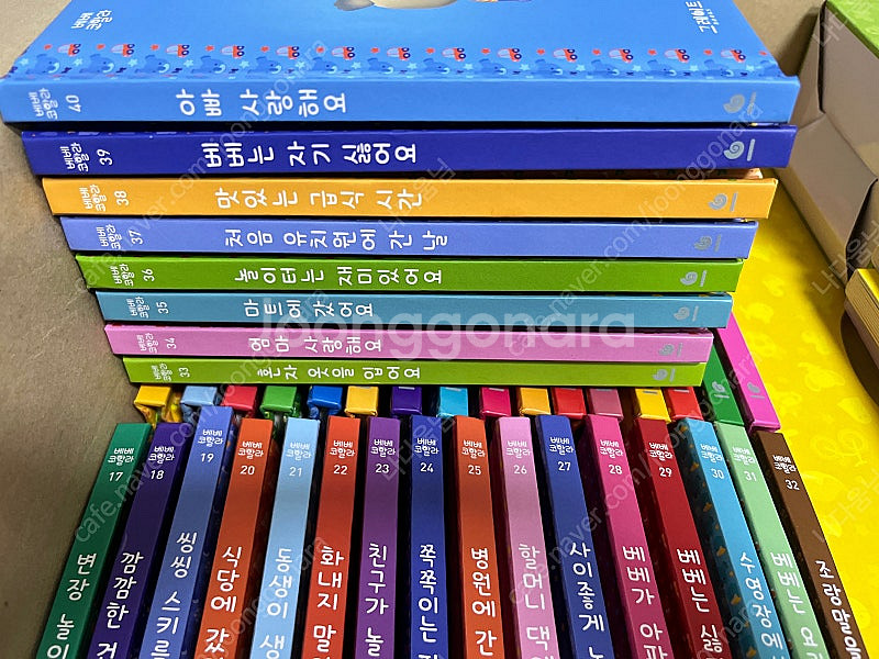 베베코알라--1