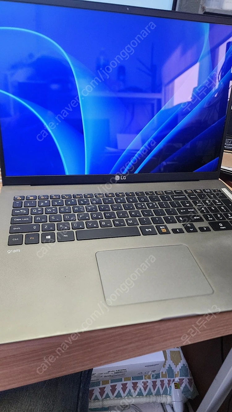 엘지 그램 17인치 i5 11세대 램 16GB SSD 256GB 이미지