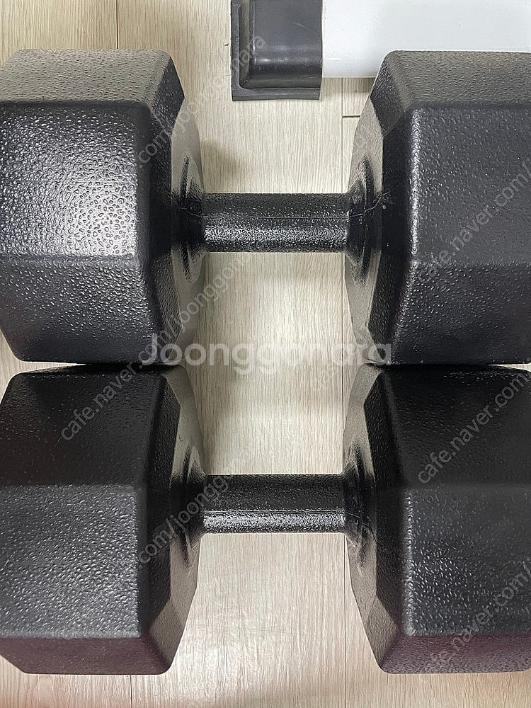 우성레포츠 아리프 다이나믹 옥타곤 아령 20kg*2EA--0