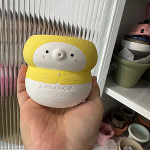 어뮤즈화분