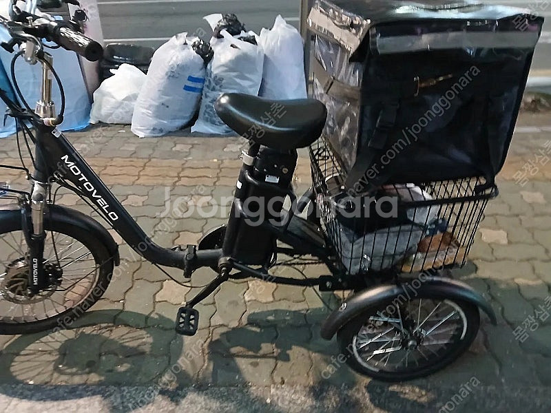 성인 삼륜 세발 전기자전거--1