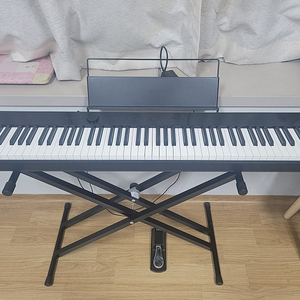 카시오 px-s1100 디지털피아노