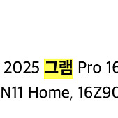 그램 루나레이크 Pro 16 Ultra 7 1TB, 32GB 모델 팝니다