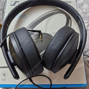 젠하이저 hd300