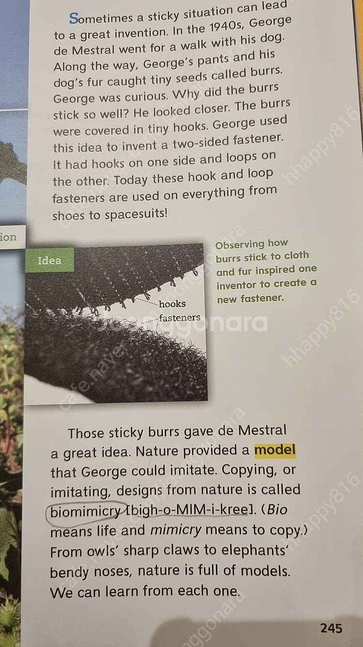 wonders literature anthology 3.1--3