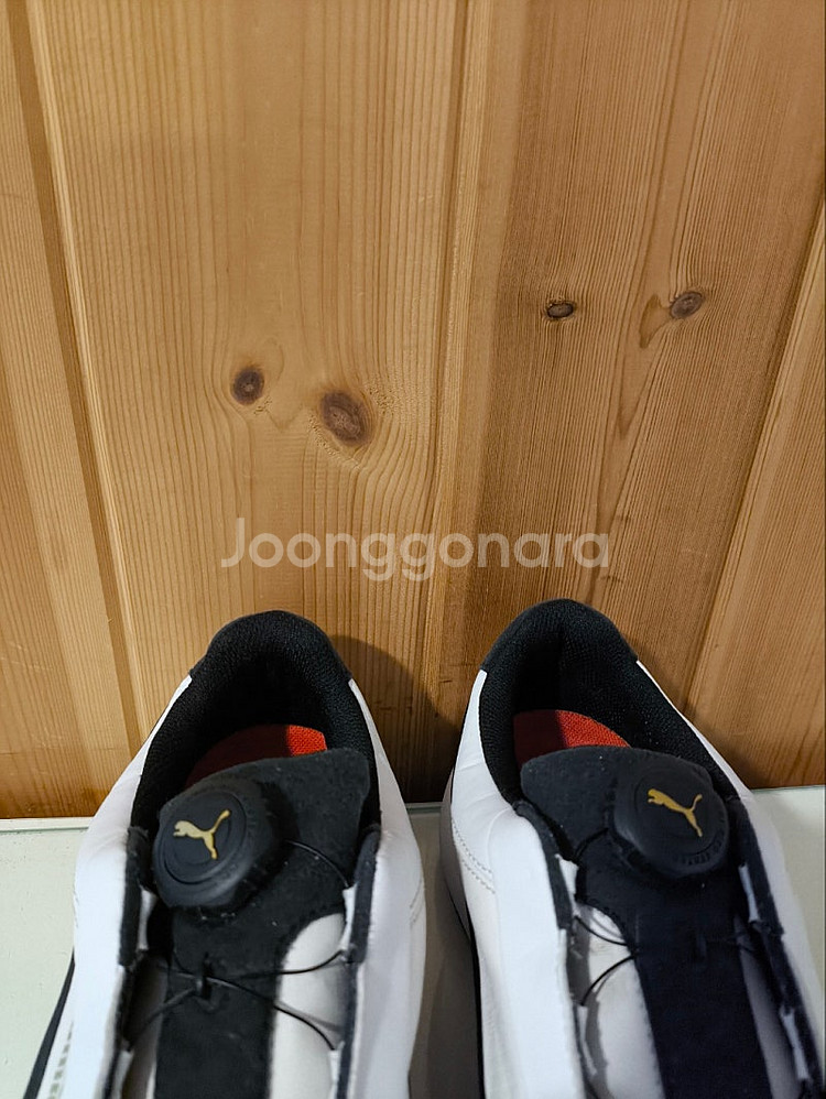 270mm 푸마 이그나이트 디스크 보아 골프화--4