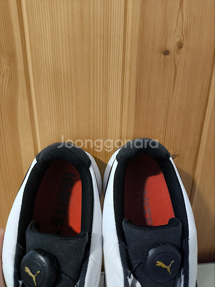 270mm 푸마 이그나이트 디스크 보아 골프화--6