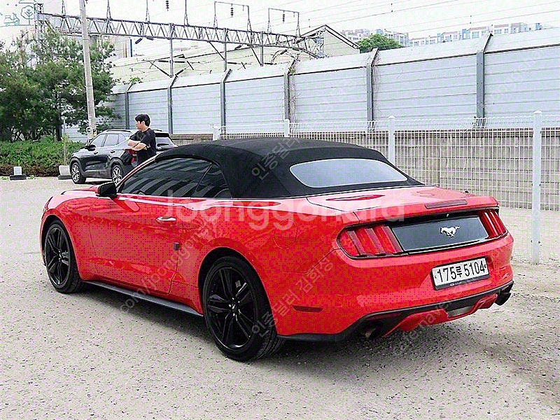 포드 머스탱 중고 머스탱 중고차 2015년식 컨버터블 ...--4