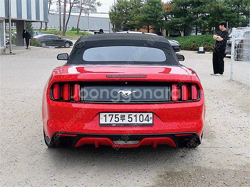 포드 머스탱 중고 머스탱 중고차 2015년식 컨버터블 ...--5