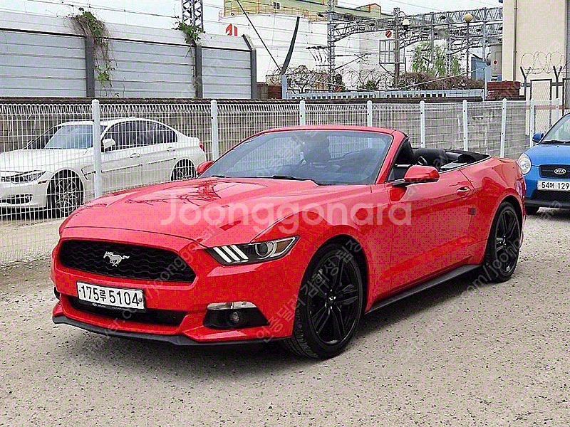 포드 머스탱 중고 머스탱 중고차 2015년식 컨버터블 ...--7