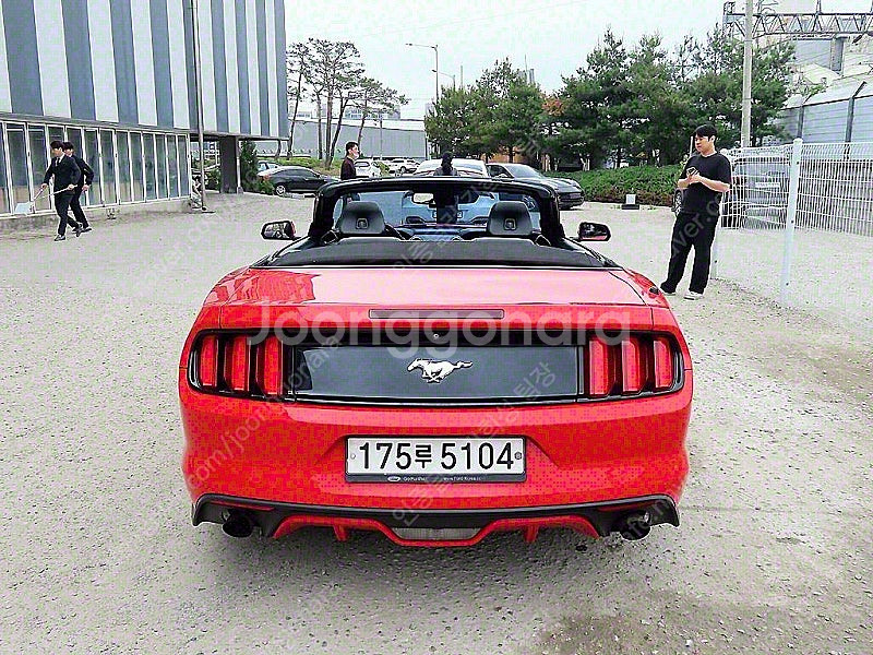 포드 머스탱 중고 머스탱 중고차 2015년식 컨버터블 ...--9