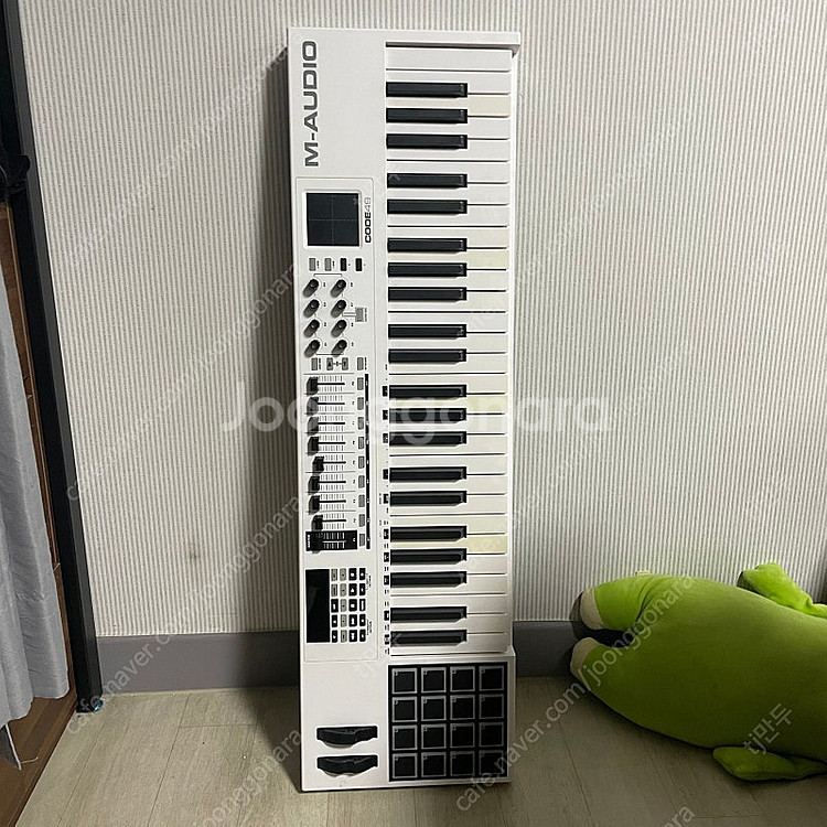 M-Audio Code 49 흰색--0