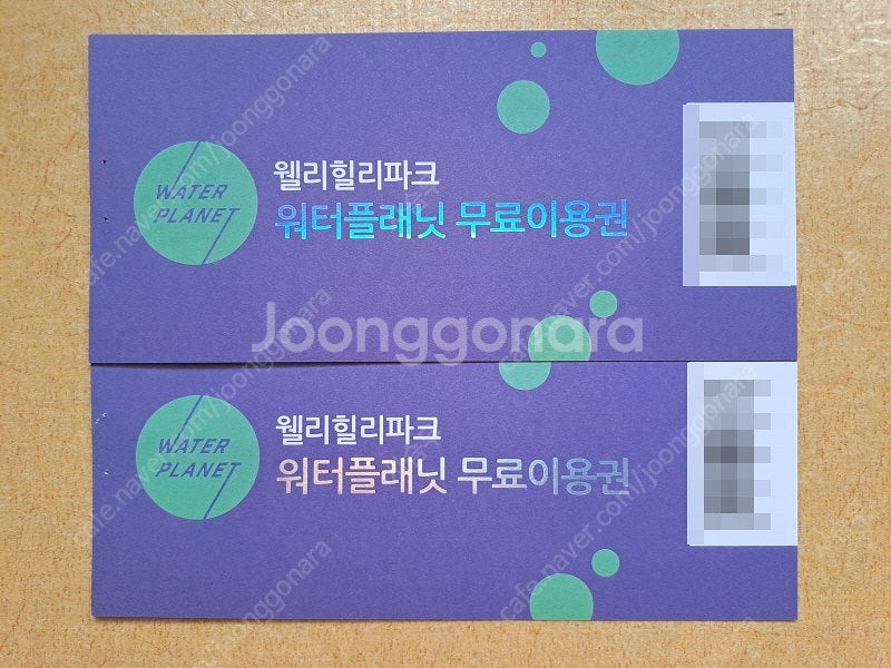 웰리힐리파크 워터플래닛 이용권(골드시즌 가능), 남이섬...--0