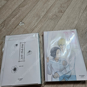 투명한동거(불투명한동거포함)
