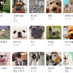 전동릴 다아와 mt300 고장나 사용 못하는것 구매합니다