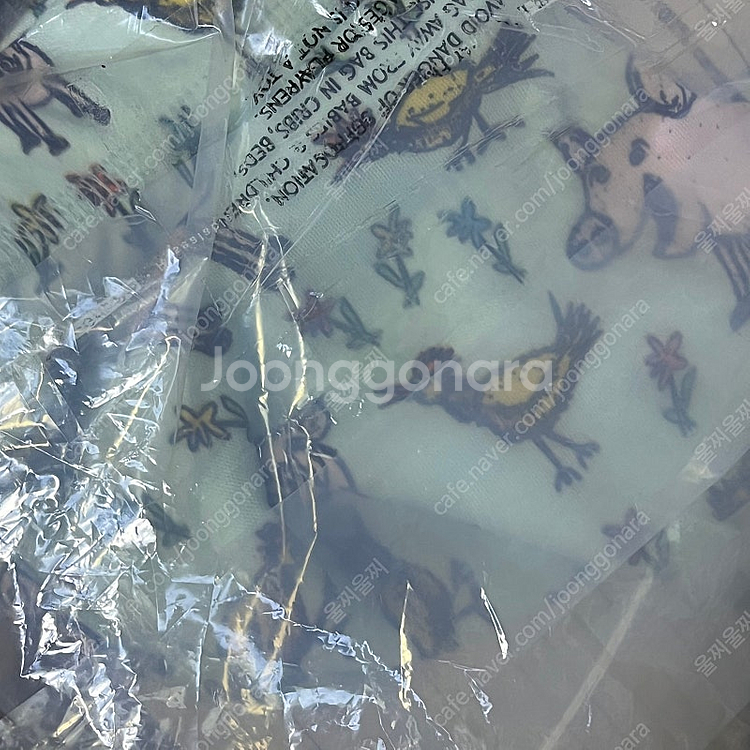던스 파란돼지 반바지--0