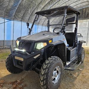 atv 대동 메크론 250 사발이 팝니다
