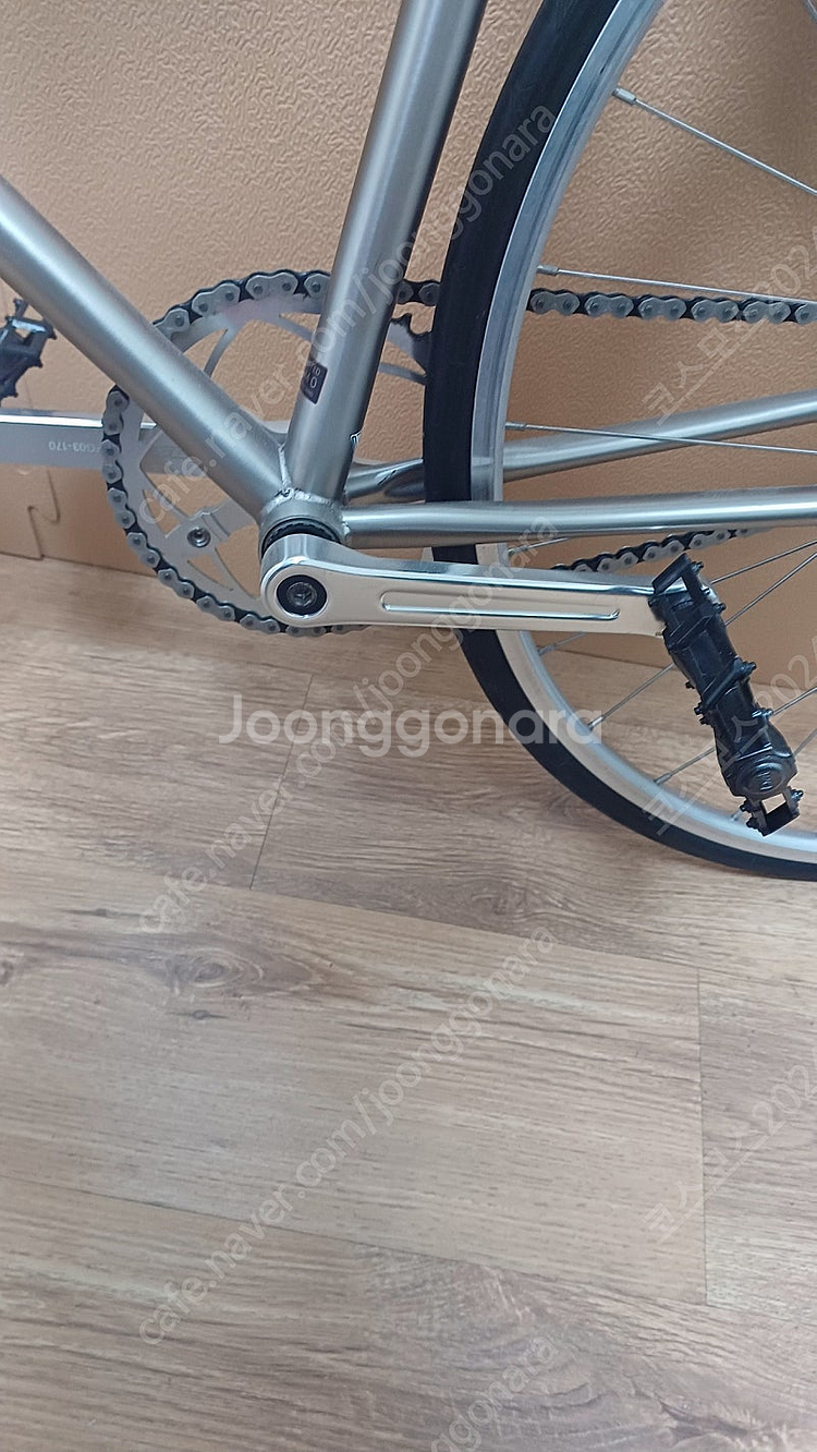 벨로라인 루시 클레식러그--1