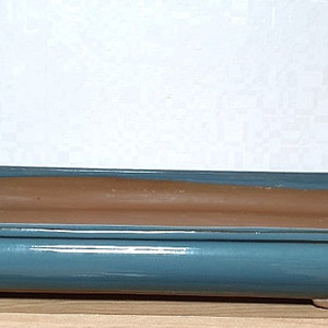 수석 수반
