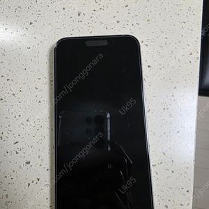 아이폰 15 프로 맥스 1TB