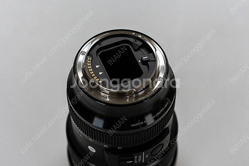 시그마 14-24mm f2.8, 시그마 85mm f1....--5